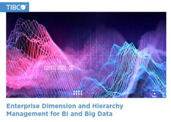 Enterprise Dimension Hierarchy Management for Bi and Big Data