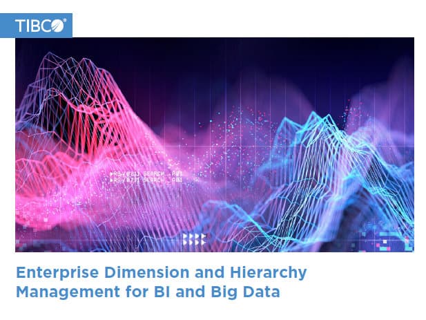 Enterprise Dimension Hierarchy Management for Bi and Big Data