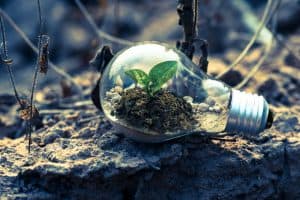 sustainability and ESG