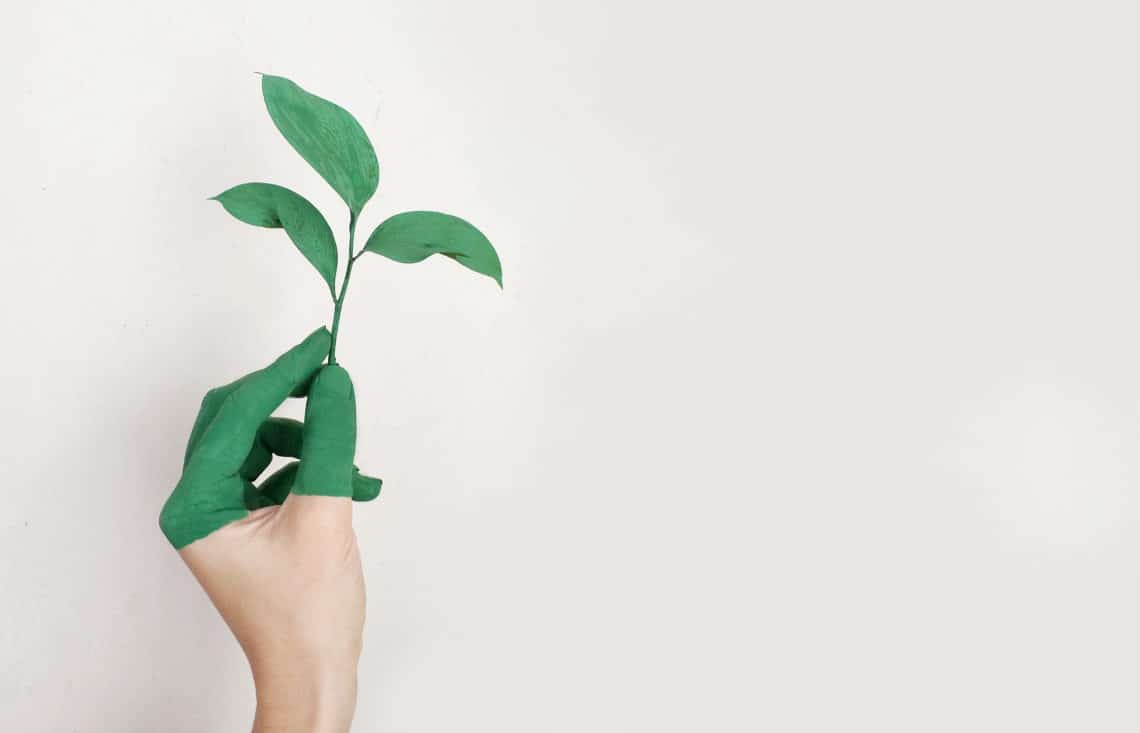 Photo by Alena Koval from Pexels: https://www.pexels.com/photo/person-s-left-hand-holding-green-leaf-plant-886521/