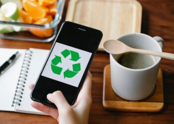 Photo by Sarah  Chai: https://www.pexels.com/photo/crop-person-using-recycling-app-on-smartphone-against-coffee-7262405/