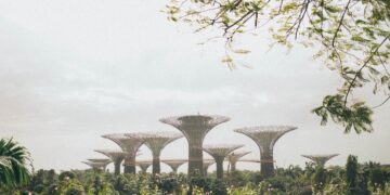 Photo by Elina Sazonova: https://www.pexels.com/photo/gardens-by-the-bay-singapore-1907047/