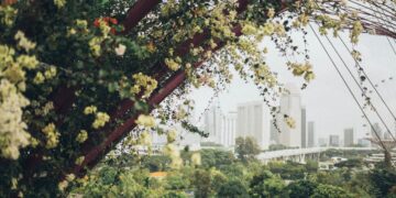 Photo by Elina Sazonova: https://www.pexels.com/photo/selective-focus-photography-of-cherry-blossom-trees-1907059/