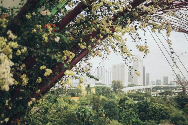 Photo by Elina Sazonova: https://www.pexels.com/photo/selective-focus-photography-of-cherry-blossom-trees-1907059/