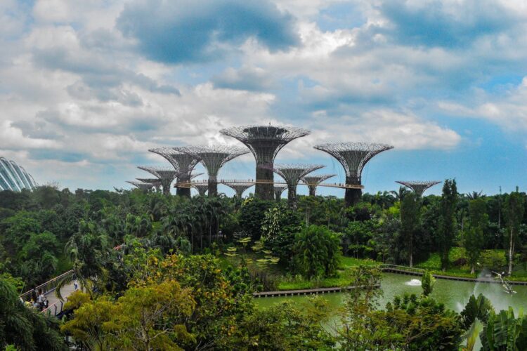 Photo by Kai Kai: https://www.pexels.com/photo/supertrees-in-gardens-by-the-bay-5987044/