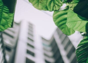 Photo by Arun Thomas: https://www.pexels.com/photo/shallow-focus-photo-of-leaves-1143530/