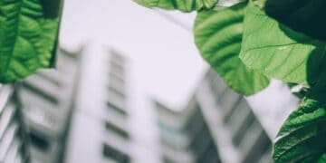 Photo by Arun Thomas: https://www.pexels.com/photo/shallow-focus-photo-of-leaves-1143530/