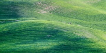 Photo by Jesse Zheng: https://www.pexels.com/photo/green-mountain-painting-732548/