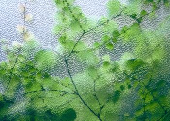 Photo by Maria Orlova: https://www.pexels.com/photo/green-plant-on-uneven-glass-surface-4916276/