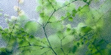 Photo by Maria Orlova: https://www.pexels.com/photo/green-plant-on-uneven-glass-surface-4916276/